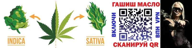 Купить закладки  Вязьма  Дистиллят ТГК THC oil 