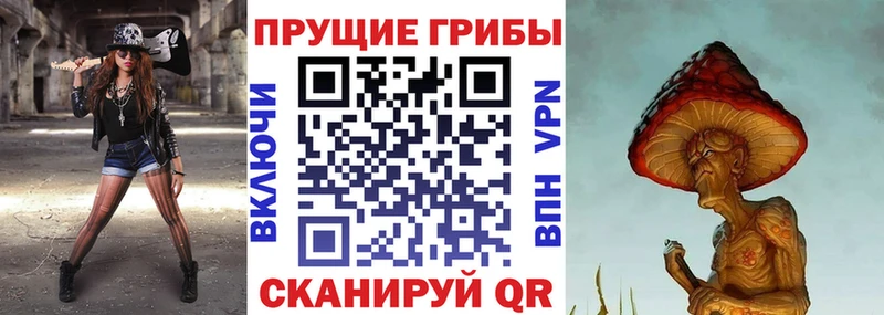 Псилоцибиновые грибы мицелий  Купить  Вязьма 